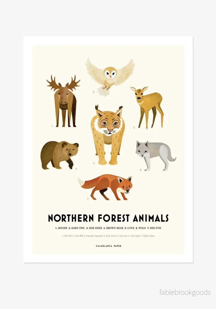 Poster, Casablanca Paper, Northern Forest Animals