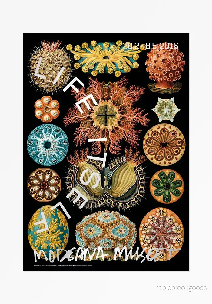 Poster, Ernst Haeckel, Kunstformen der Natur Poster, Ernst Haeckel, Kunstformen der Natur