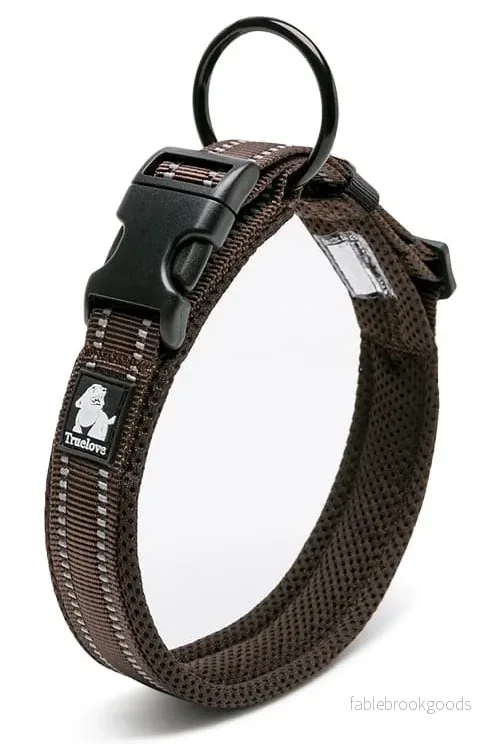 Hundhalsband – Active | Justerbart Hundhalsband med Reflex - Mjukt & Bekvämt - Bild 3