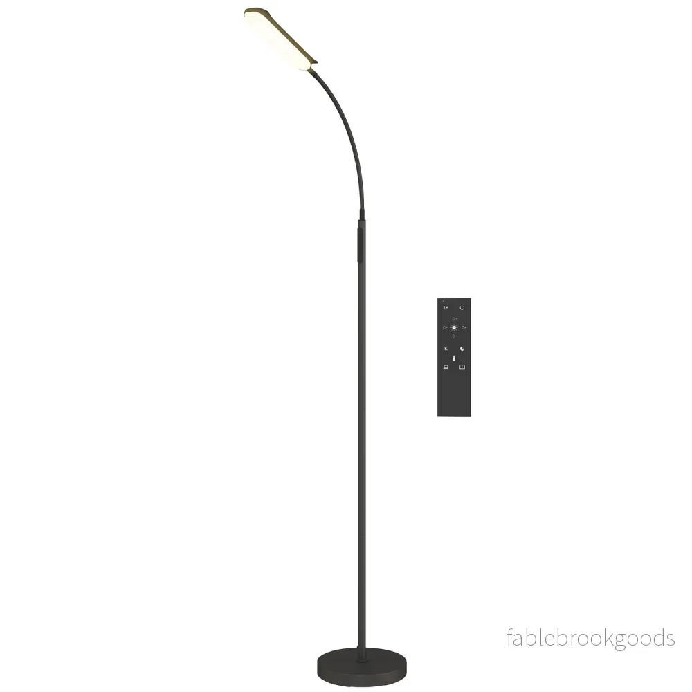 LED-golvlampa, 5 lägen, minnesfunktion, justerbar ljusstyrka, stål, svart