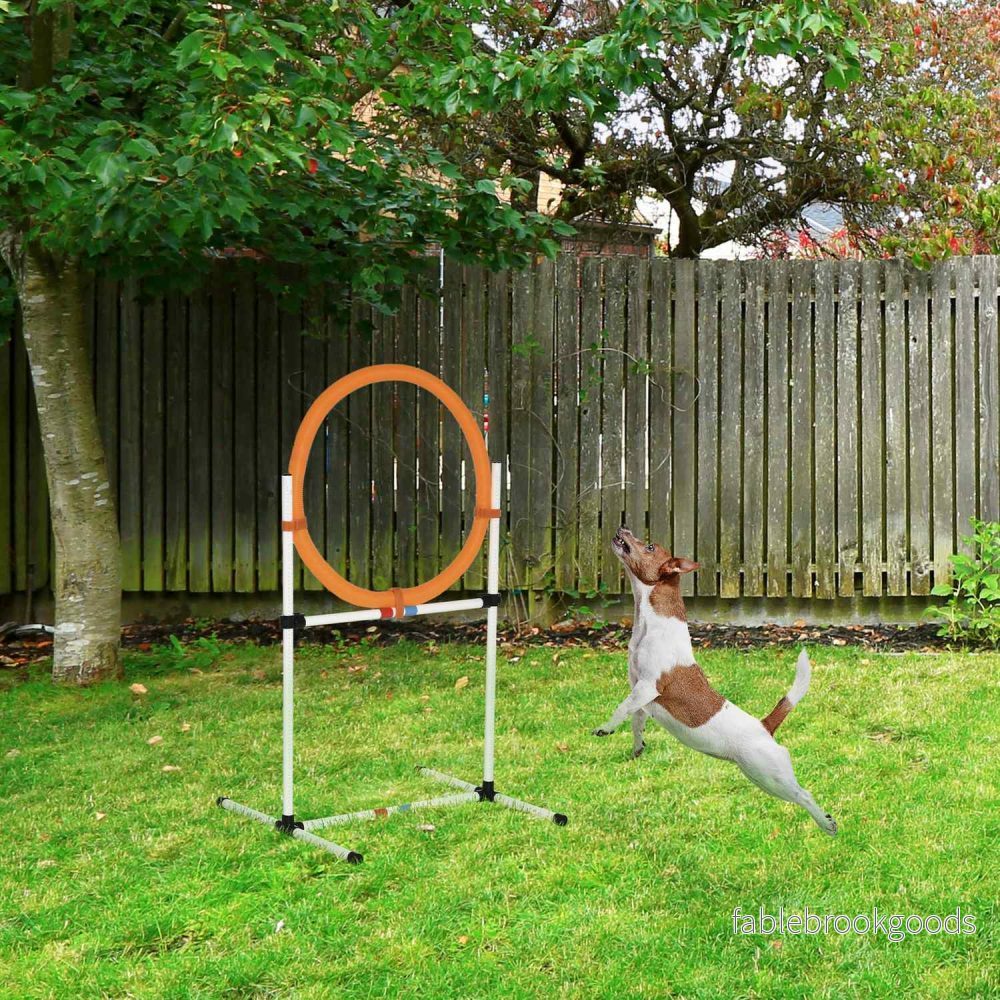 Hund Agility Training Hoppa Ring, Portabel, Vit/Orange - Bild 2