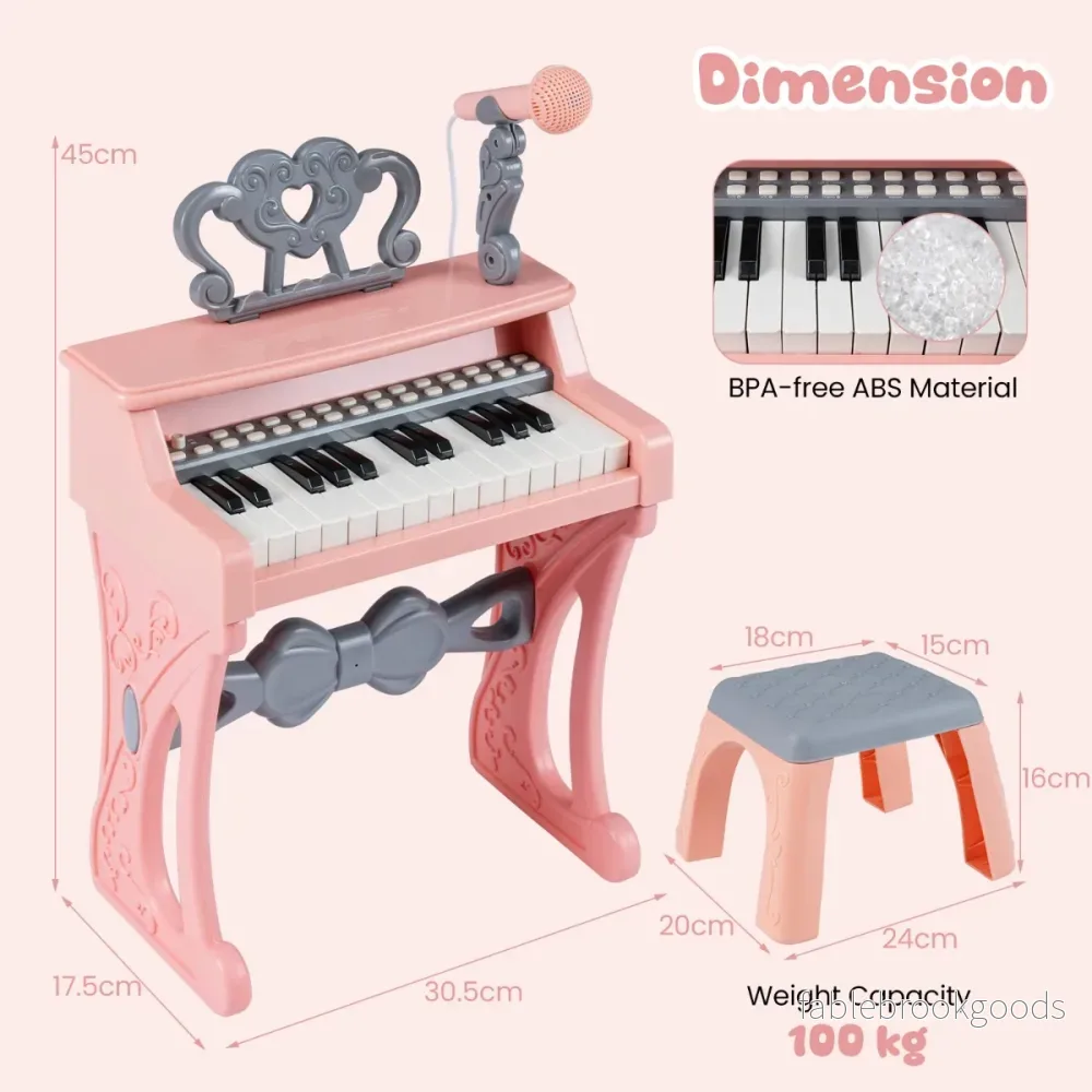 Mini – tangentbord med pall och notställ mikrofon elektriskt piano – 25 – Rosa - Bild 2