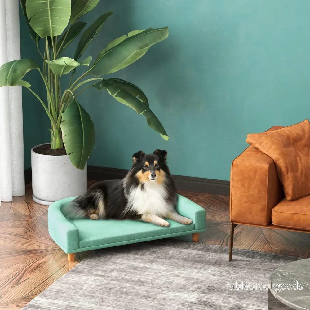 Bekväm husdjurssoffa med kudde, förhöjd grön design - Bild 2