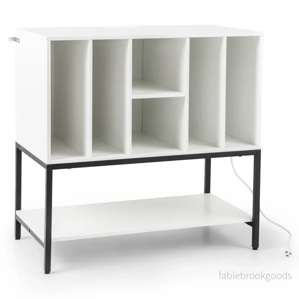 Skivspelareställ – med laddstation och vinylförvaring Sidoskåp Vinyldisplay Hylla – Vit