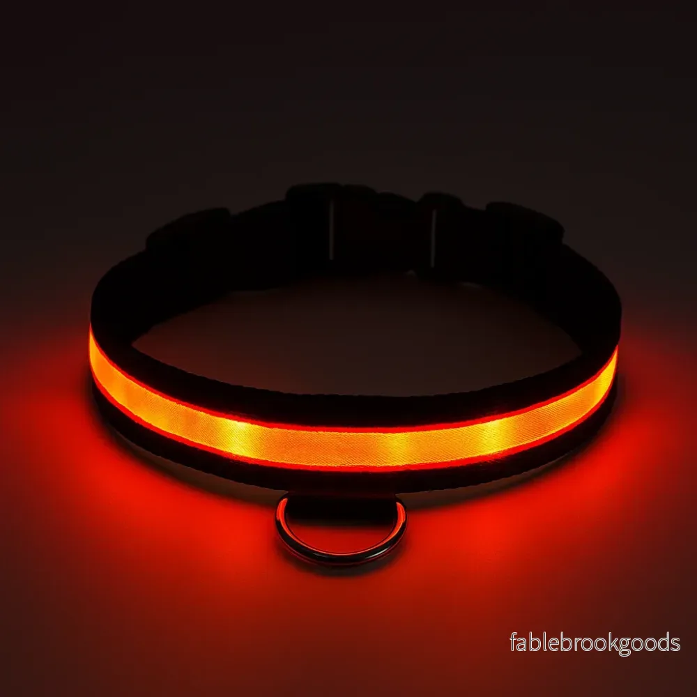 Uppladdningsbart LED Hundhalsband - säkerhet och stil - Bild 2