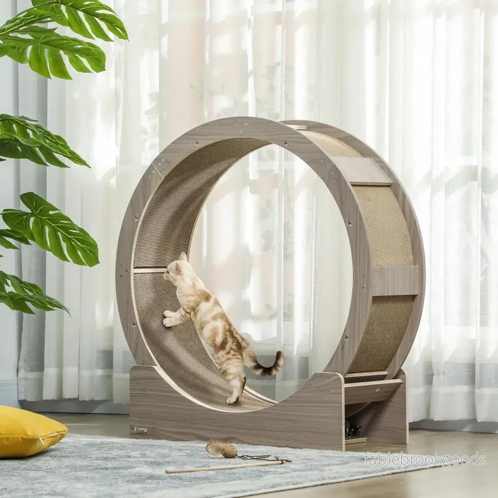 Cat träningshjul med broms och skrapbräda - Bild 2