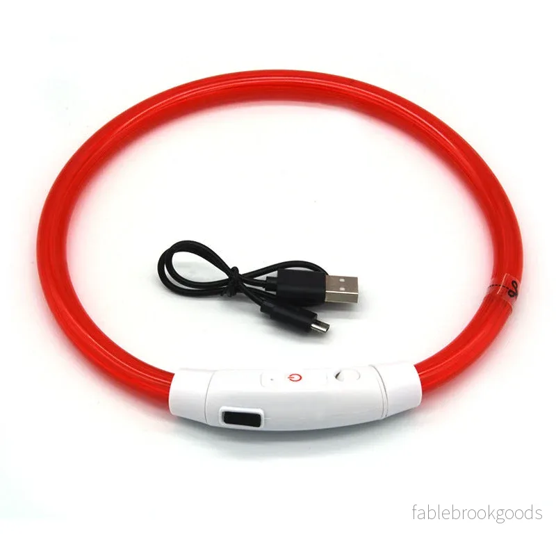 Halsband LED Hund - Blinkande Hundhalsband - Bild 2