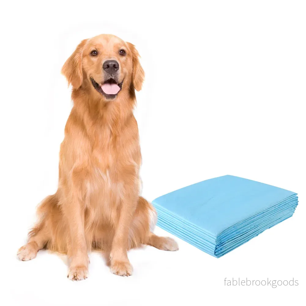 Träningsdyna – Hund Valpdyna Valphygienskydd st – 100 75 x 90 cm – Blå och vit