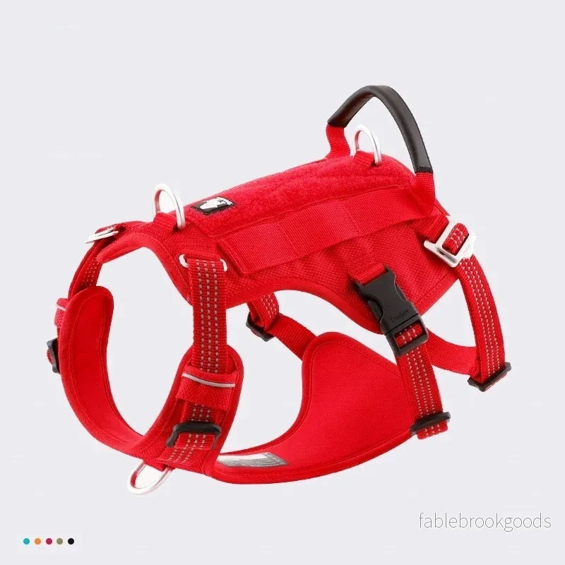 Hundsele – Control | Rymningssäker Anti-Drag Dubbel H-Sele - Bild 2