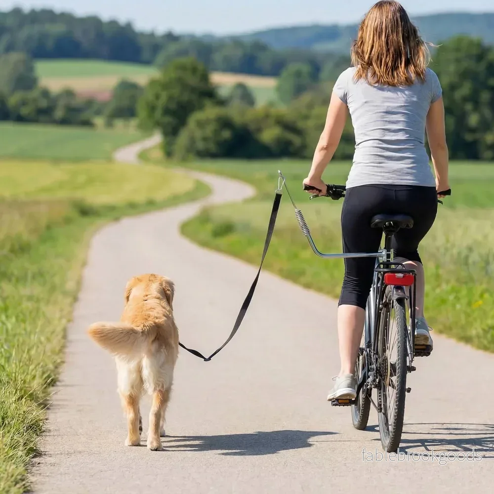 Hundcykelkoppel med stötdämpare, justerbart, silver/svart - Bild 2