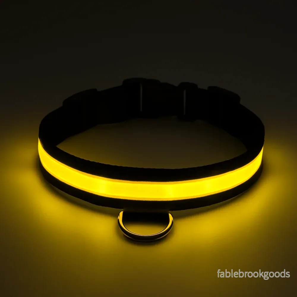 Uppladdningsbart LED Hundhalsband - säkerhet och stil - Bild 3