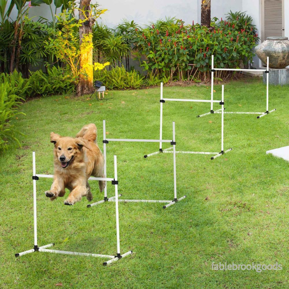 Hund Agility Training Set – 4 slalomhäck, vit - Bild 2