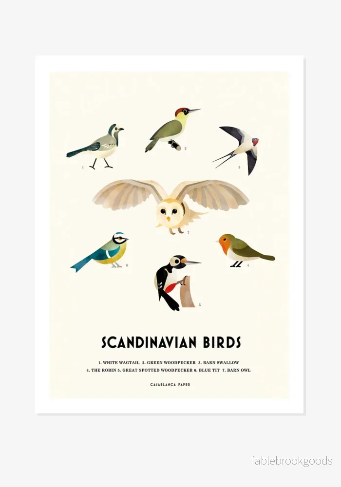 Poster, Casablanca Paper, Scandinavian Birds