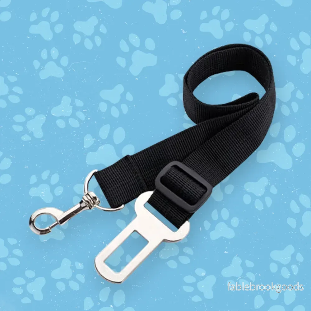 Bilbälte Hund