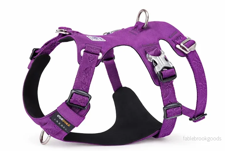 Hundsele – Control Pro | Rymningssäker Cordura & Maximal Kontroll - Bild 3