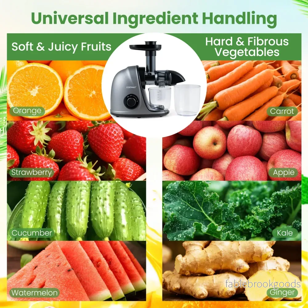 Kallpressad – juicepress W långsam elektrisk med återställningsfunktion, rengöringsborste – 150 - Bild 3
