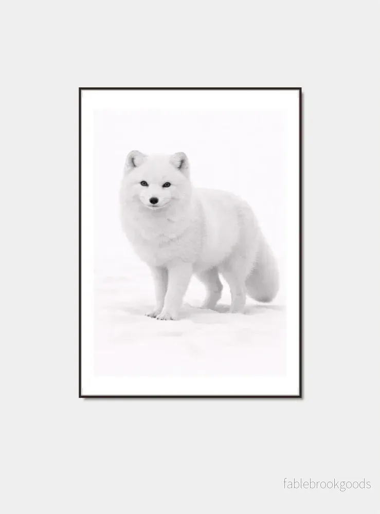 Fjällräv poster Fjällräv poster