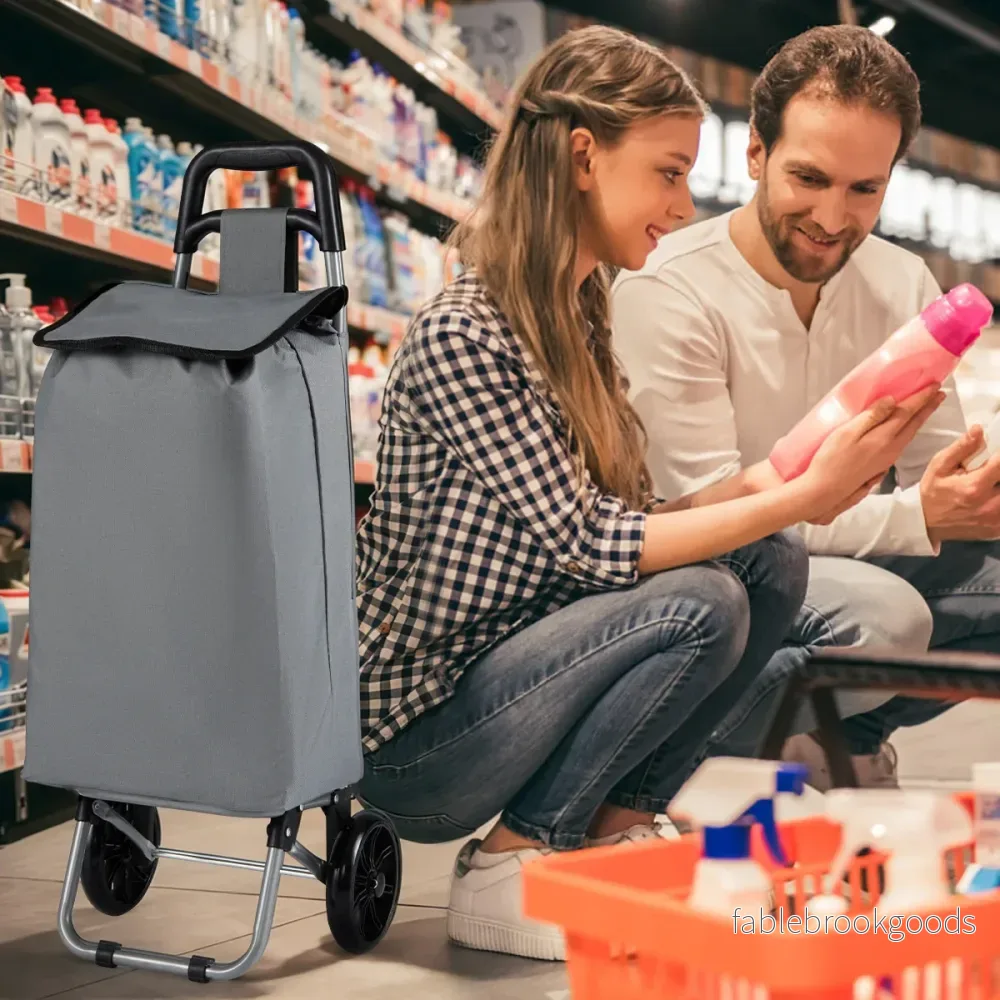 35L – hopfällbar shoppingvagn med avtagbar shoppingkasse och sidoväska – Grå - Bild 3