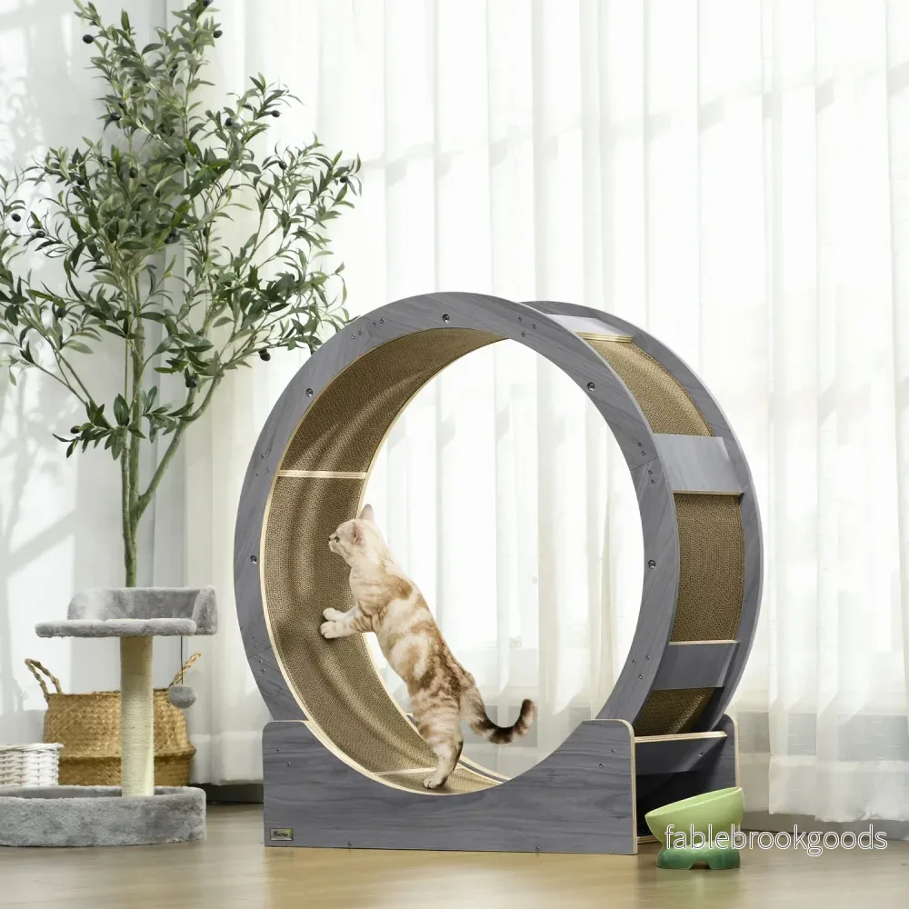 Cat Motionscykel med broms & skrapbräda, grå - Bild 2