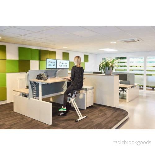 ErgoDeskBike Basic 2.0 - Bild 3