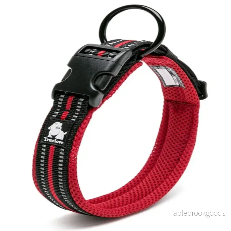 Hundhalsband – Active | Justerbart Hundhalsband med Reflex - Mjukt & Bekvämt - Bild 2