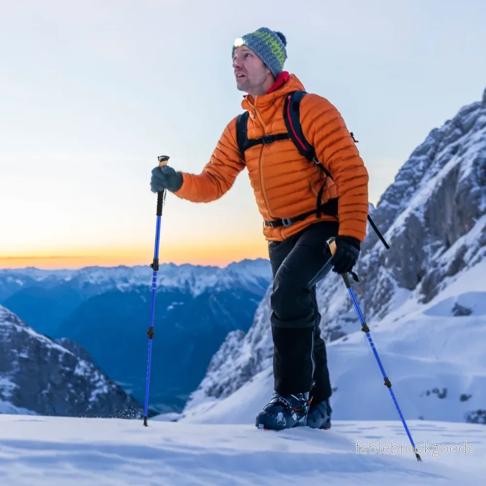 Alu – Vandringsstav med EVA och Naturkork Handtag Uttagsbar Walking – Blå - Bild 3