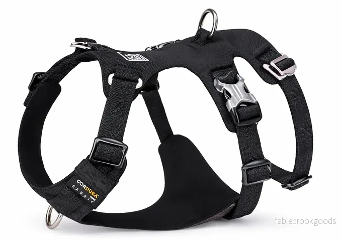 Hundsele – Control Pro | Rymningssäker Cordura & Maximal Kontroll - Bild 2