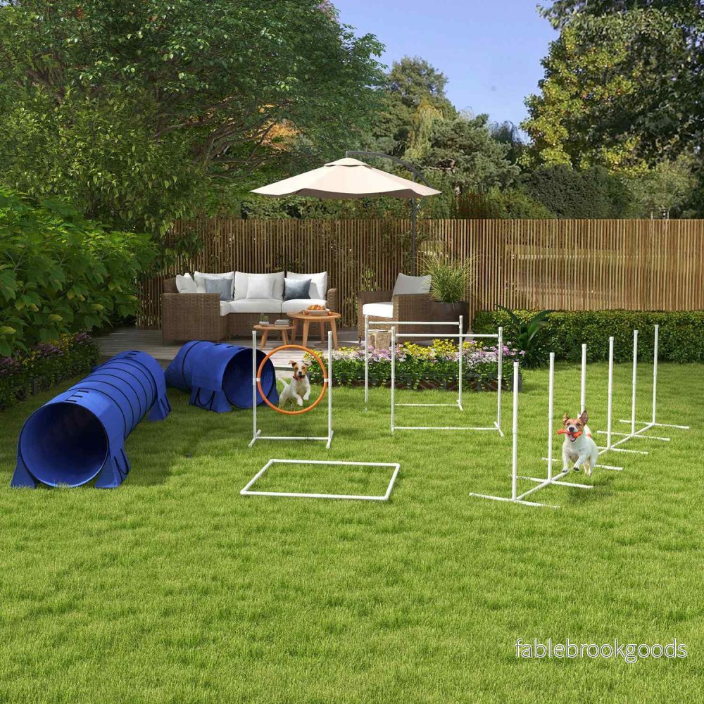 Dog Agility Set med justerbara hinder och tunnel - Bild 2