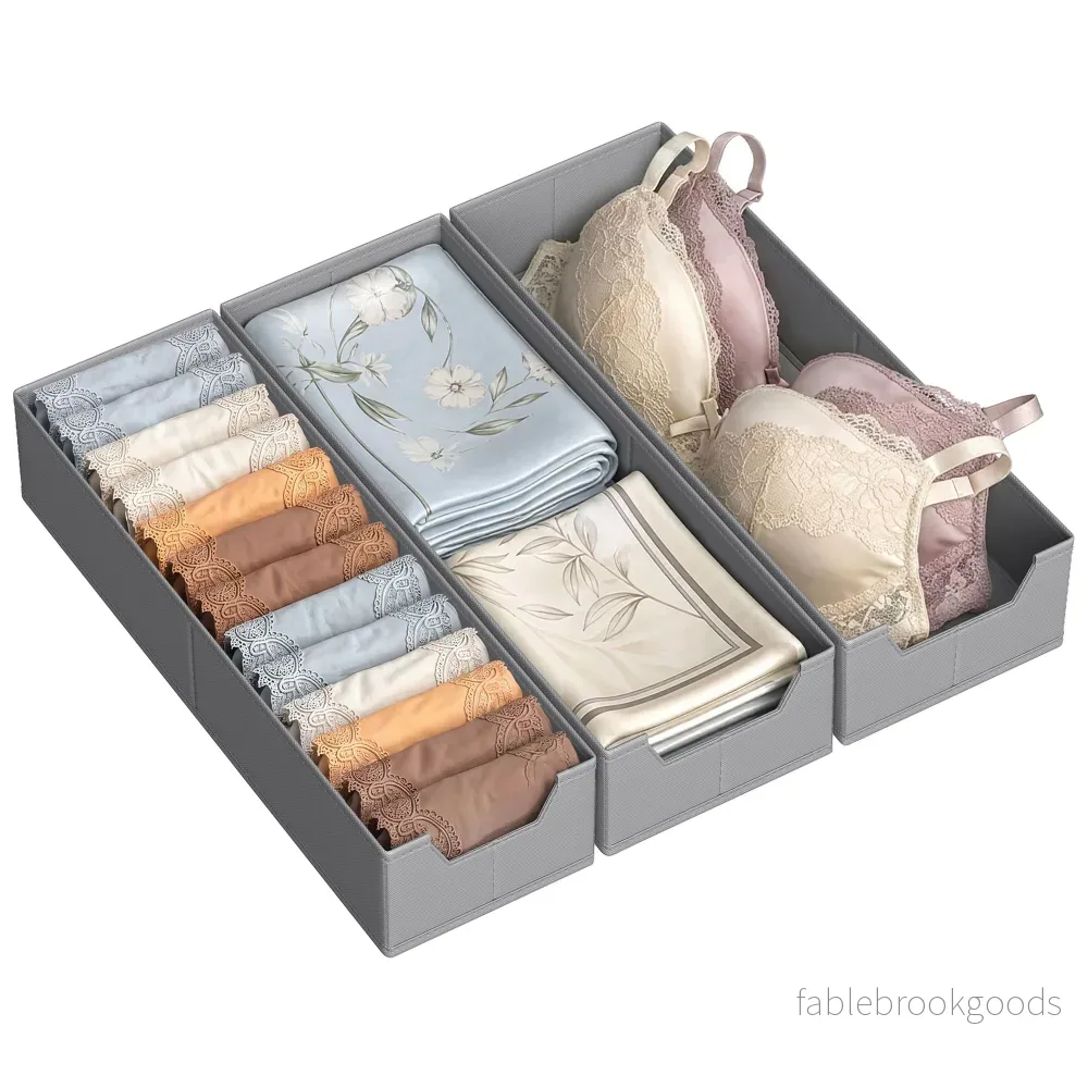 Lade-organizer - Opvouwbaar - Set van Meerdere Boxen - Duifgrijs - 19 x 50 x 10 cm