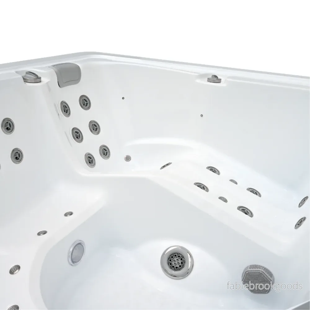 Swimspa Swim Dual - Bild 3