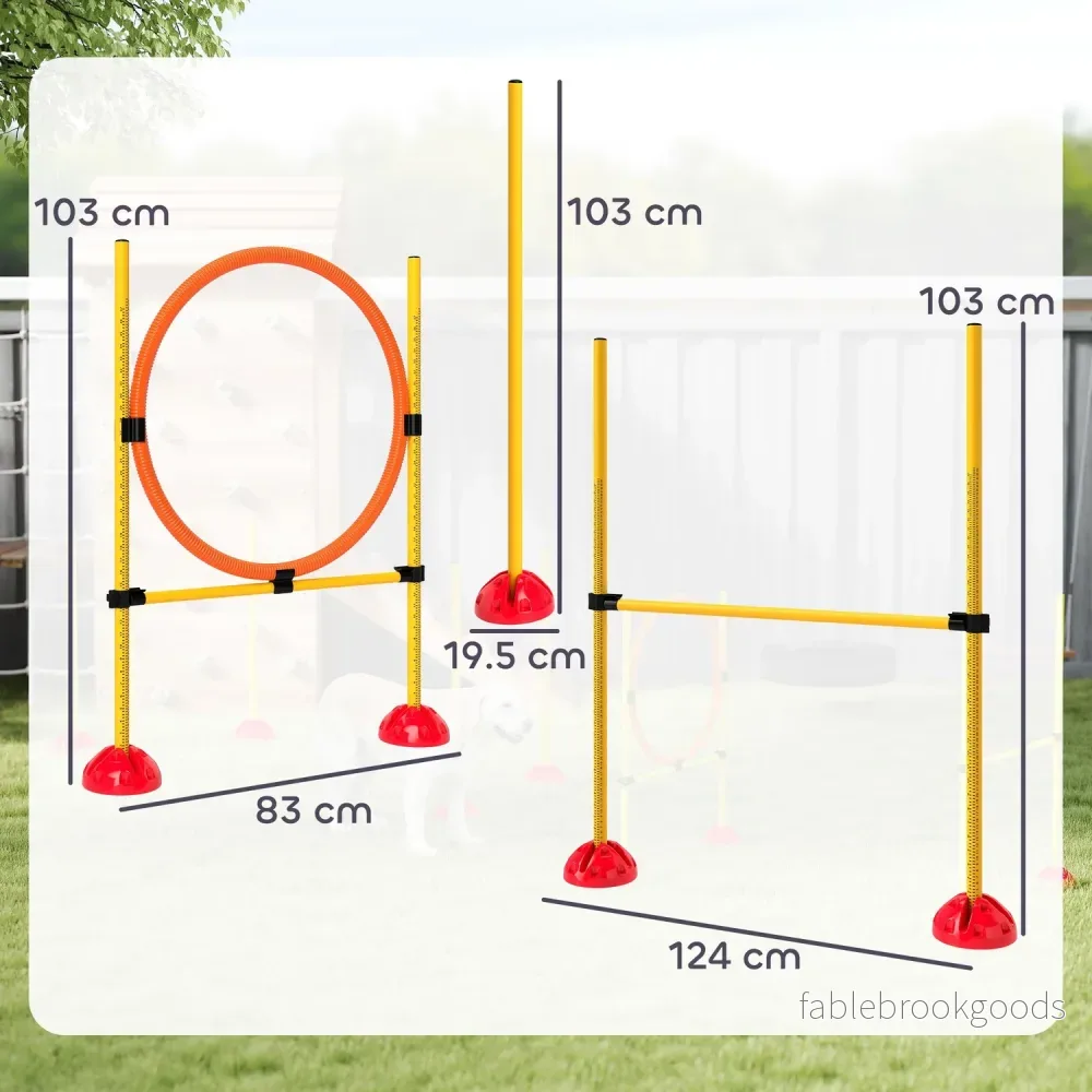 Hund Agility Training Set, 4-delad justerbar utrustning - Bild 3