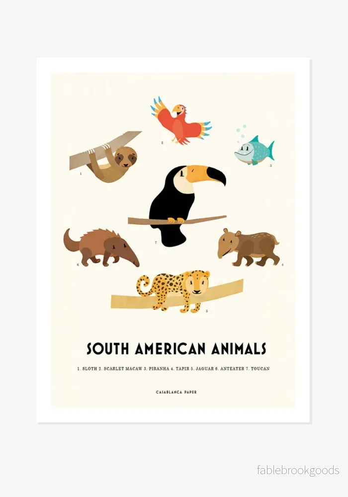 Poster, Casablanca Paper, South African Animals