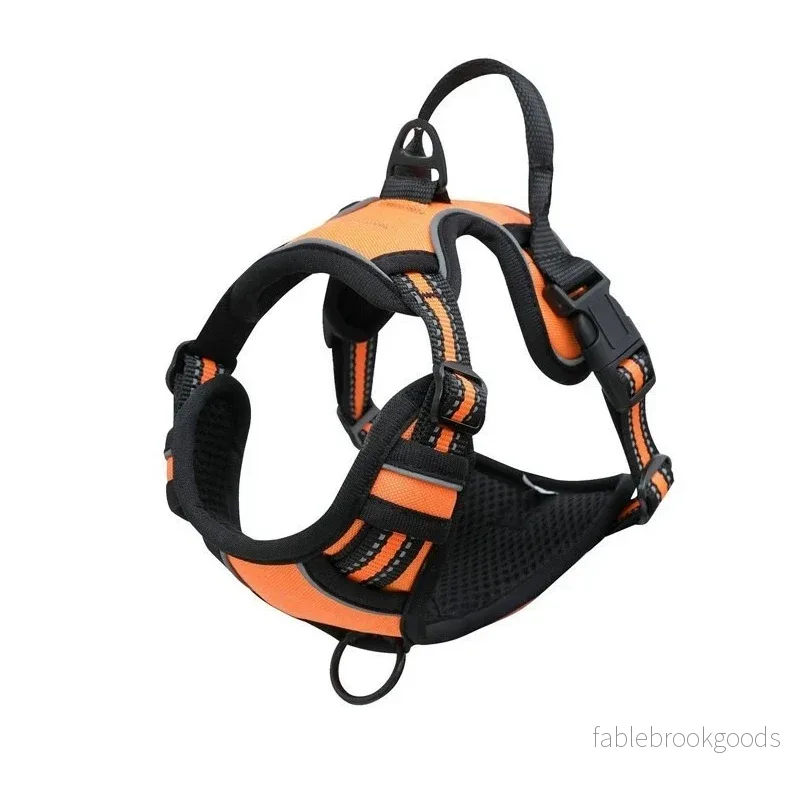 Hundsele – Active | Antidrag, justerbar & reflekterande sele - Bild 2