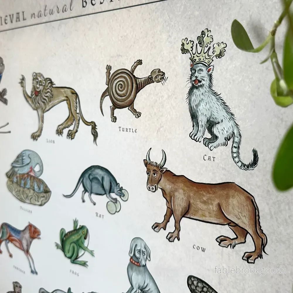Poster Medieval Natural Bestiary - Bild 3