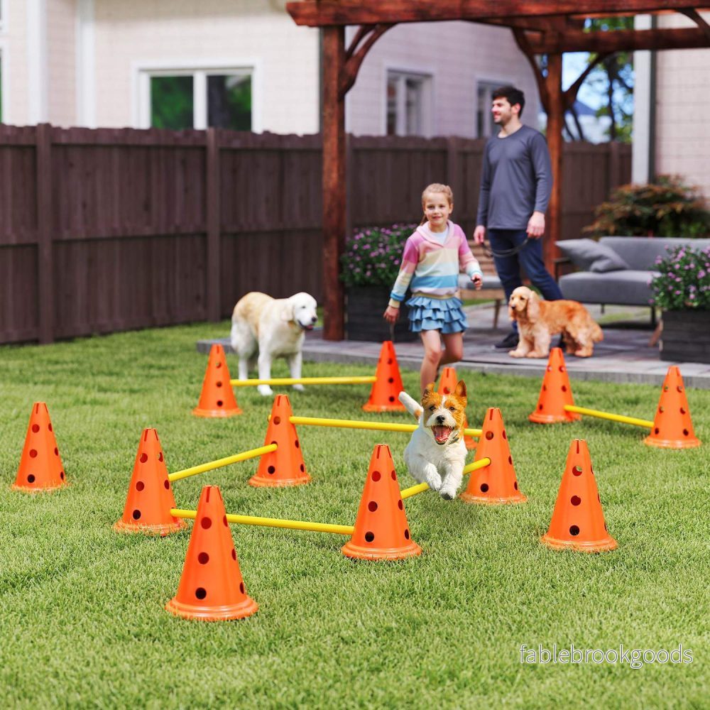 Hund Agility Training Set – 6 justerbara hinder, 12 kottar - Bild 2