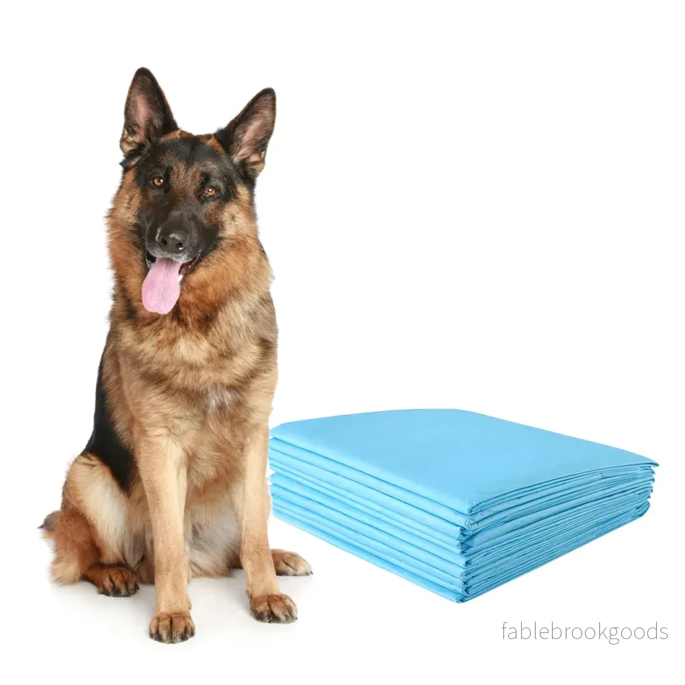 Träningsdyna – Hund Valpdyna Valphygienskydd st. – 150 75 x 75 cm – Blå och vit