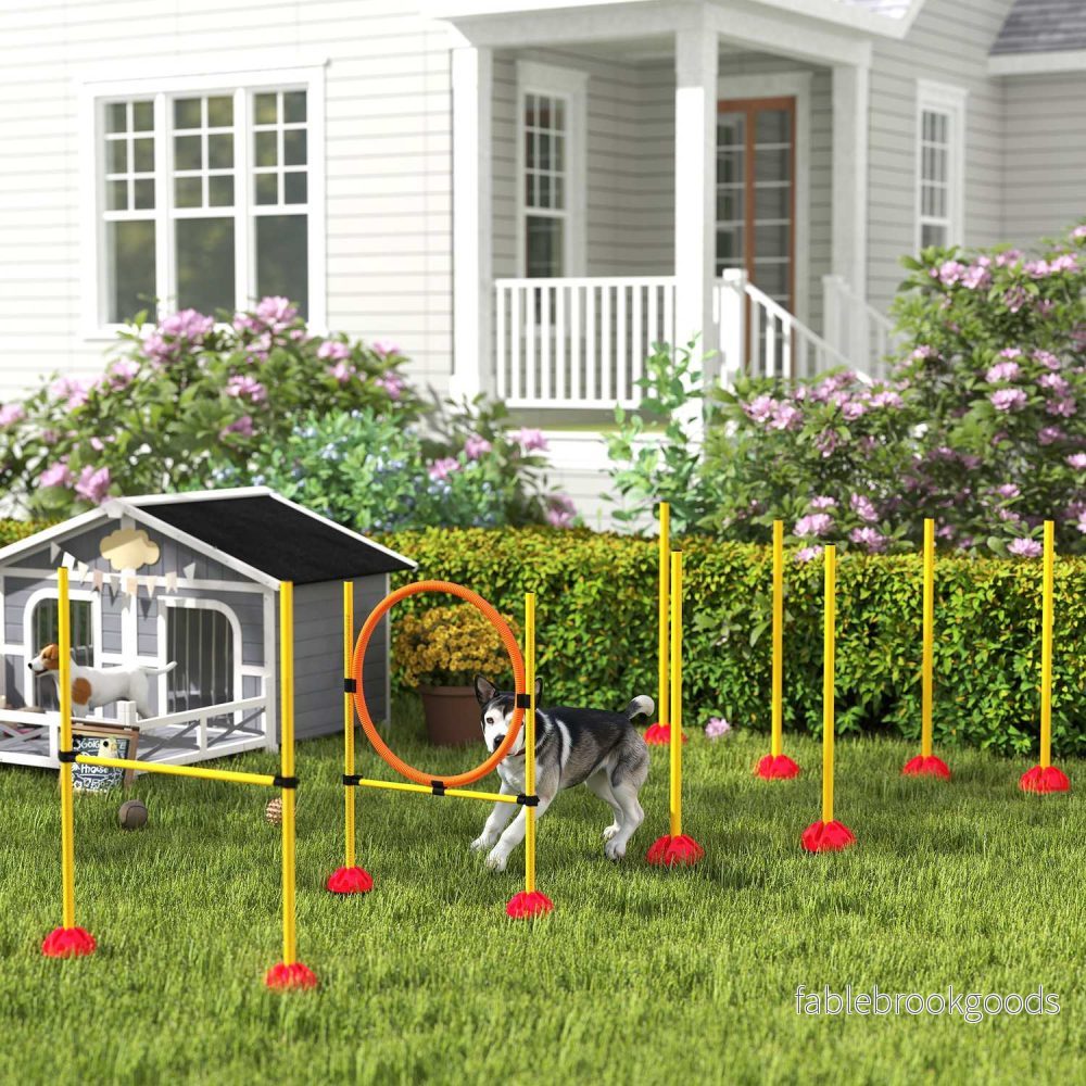 Hund Agility Training Set, 4-delad justerbar utrustning - Bild 2
