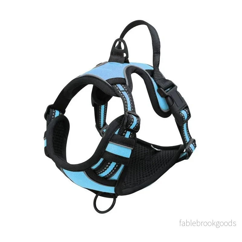 Hundsele – Active | Antidrag, justerbar & reflekterande sele - Bild 3
