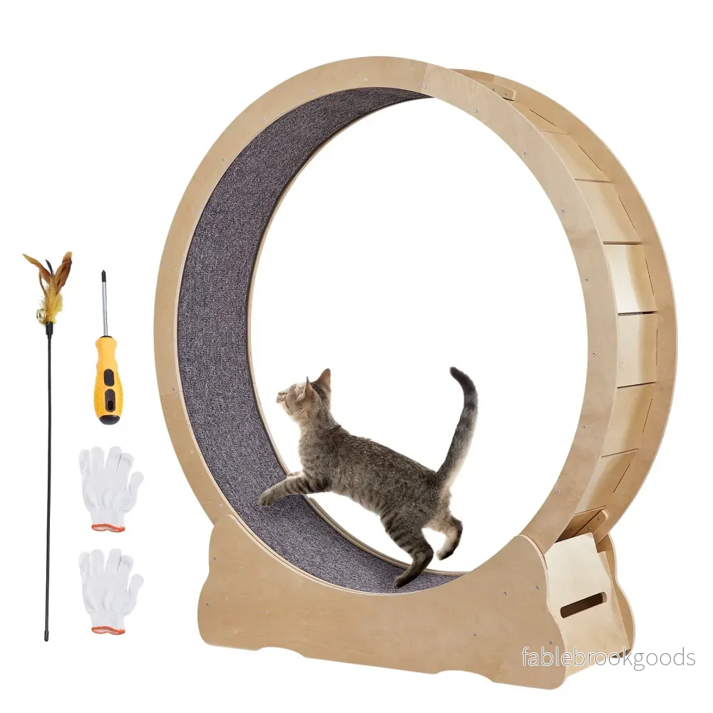 Motionshjul för katt