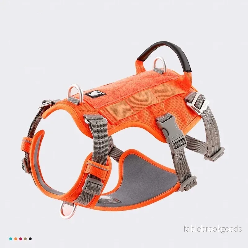 Hundsele – Control | Rymningssäker Anti-Drag Dubbel H-Sele - Bild 3