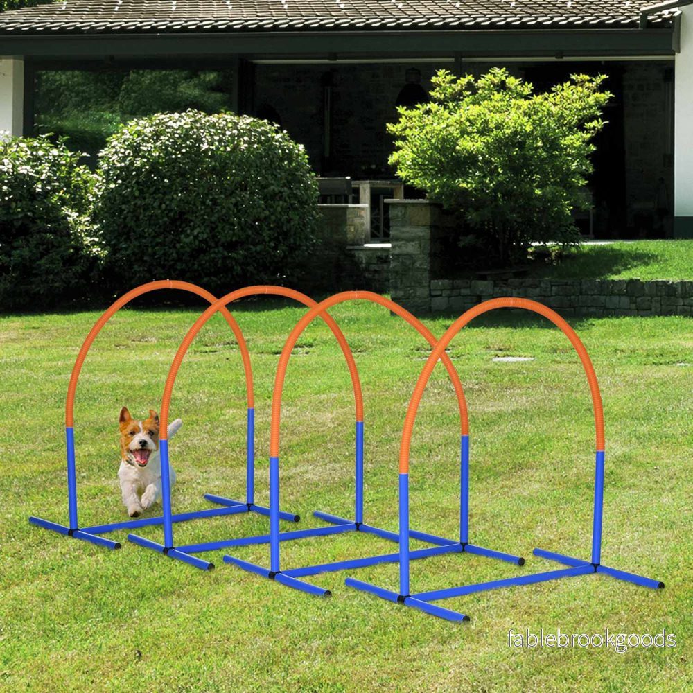 Dog Agility Training Set, 4-delat med bärväska, blå/orange - Bild 2